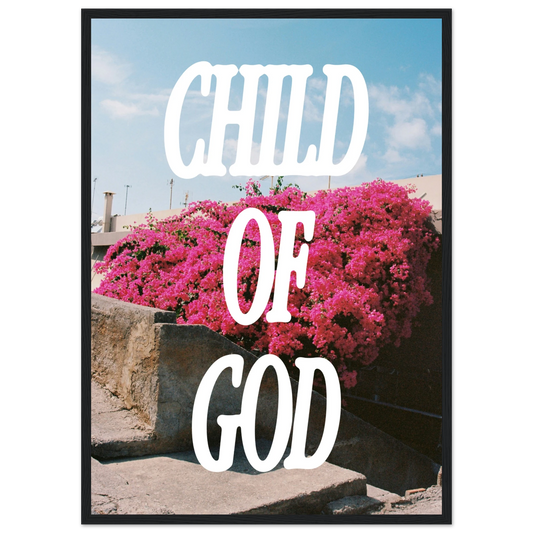 d6c2d80a-b4b0-4951-b016-ccb260e14ee9